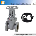 Dual Plates Cast Iron Butterfly Type Check Valves